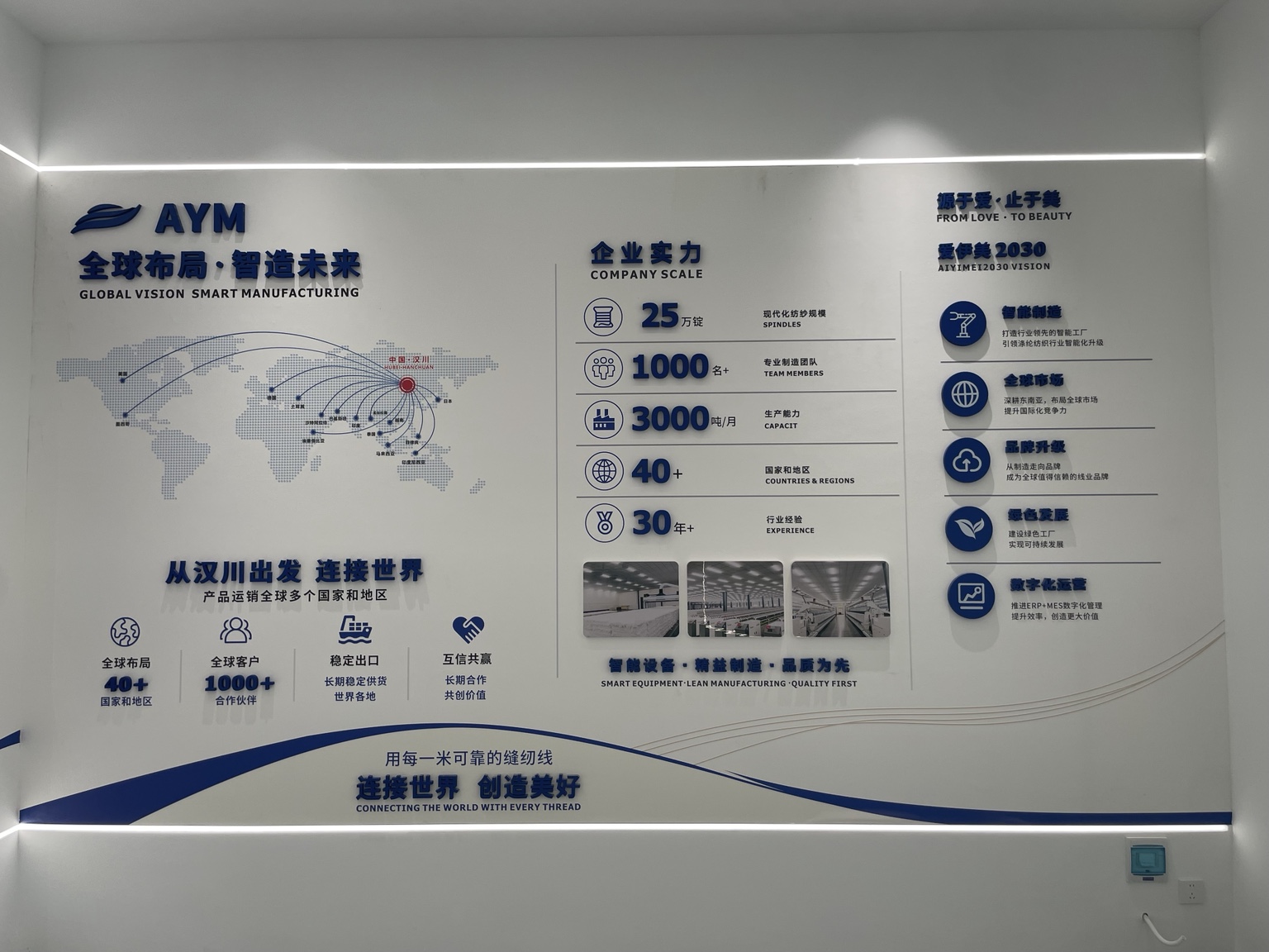 Globale Präsenz, Unternehmensgröße und Aiyimei Vision 2030